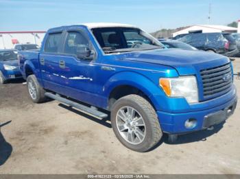  Salvage Ford F-150