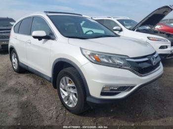  Salvage Honda CR-V