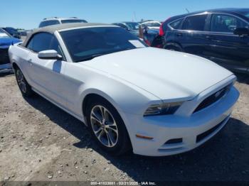  Salvage Ford Mustang