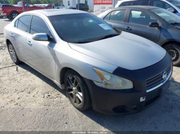  Salvage Nissan Maxima