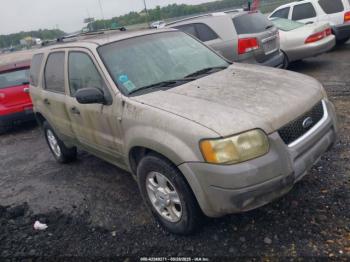  Salvage Ford Escape
