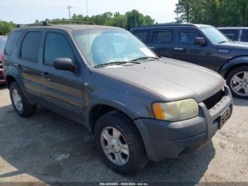  Salvage Ford Escape