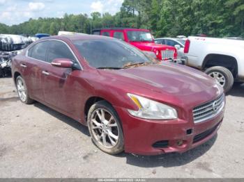 Salvage Nissan Maxima