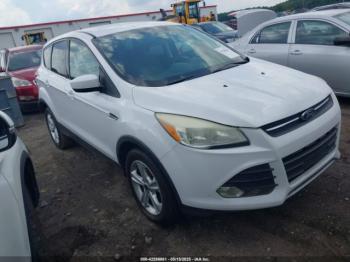  Salvage Ford Escape