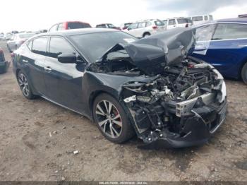  Salvage Nissan Maxima