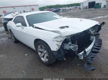  Salvage Dodge Challenger