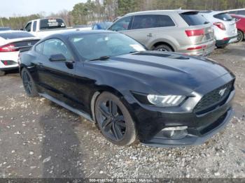  Salvage Ford Mustang