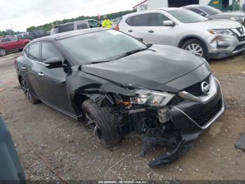  Salvage Nissan Maxima