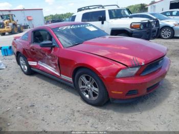  Salvage Ford Mustang