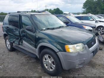  Salvage Ford Escape