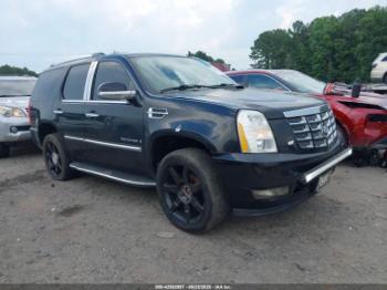  Salvage Cadillac Escalade