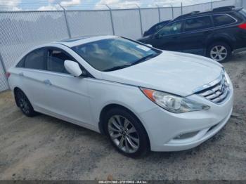  Salvage Hyundai SONATA