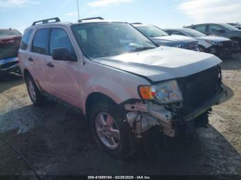  Salvage Ford Escape
