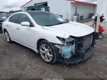 Salvage Nissan Maxima