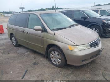  Salvage Honda Odyssey