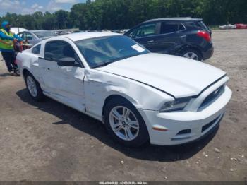  Salvage Ford Mustang