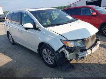  Salvage Honda Odyssey