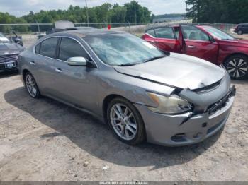  Salvage Nissan Maxima