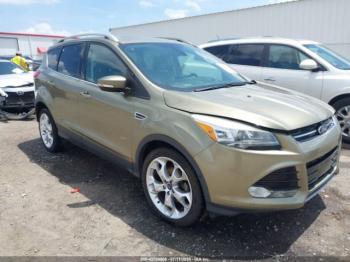  Salvage Ford Escape