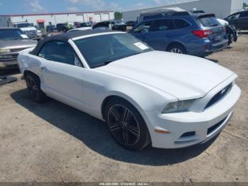  Salvage Ford Mustang