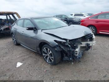  Salvage Nissan Maxima