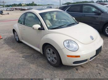  Salvage Volkswagen Beetle