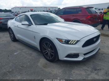  Salvage Ford Mustang