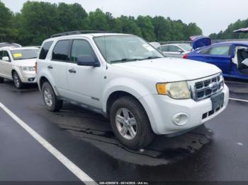  Salvage Ford Escape
