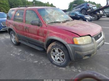  Salvage Ford Escape