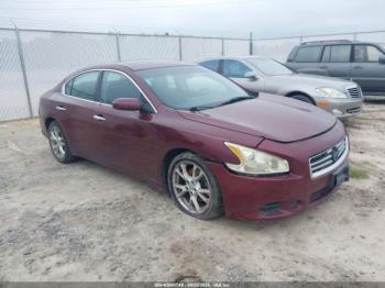 Salvage Nissan Maxima