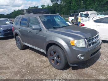  Salvage Ford Escape