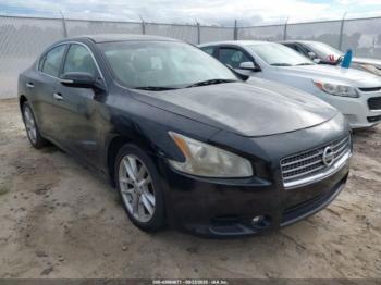  Salvage Nissan Maxima