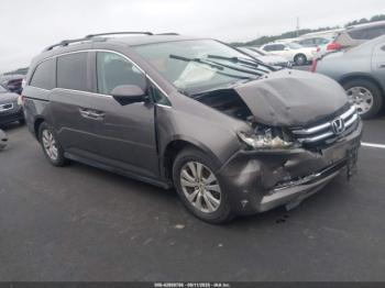  Salvage Honda Odyssey