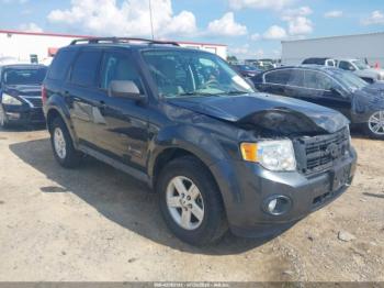 Salvage Ford Escape