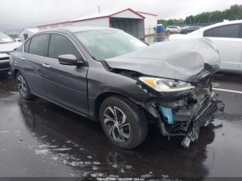  Salvage Honda Accord