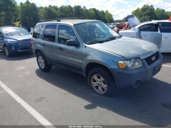  Salvage Ford Escape