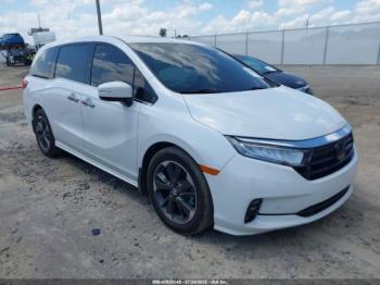  Salvage Honda Odyssey