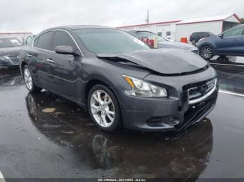  Salvage Nissan Maxima