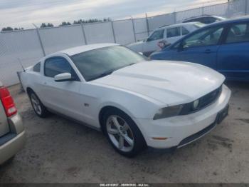  Salvage Ford Mustang
