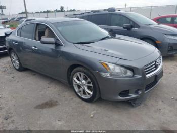  Salvage Nissan Maxima
