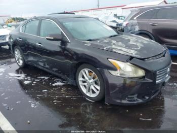  Salvage Nissan Maxima
