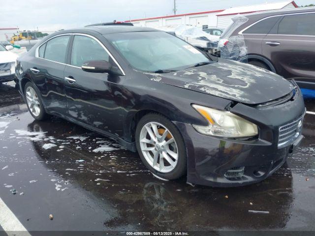  Salvage Nissan Maxima