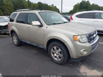  Salvage Ford Escape