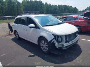  Salvage Honda Odyssey