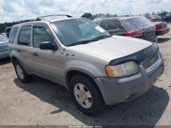  Salvage Ford Escape