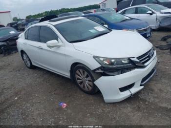  Salvage Honda Accord