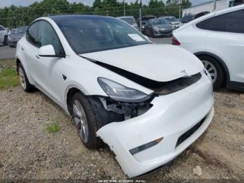  Salvage Tesla Model Y