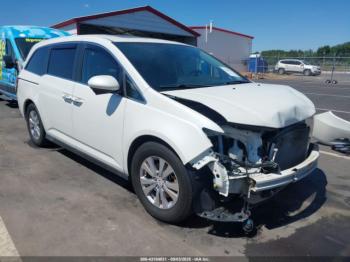  Salvage Honda Odyssey