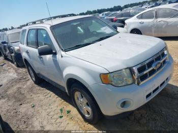 Salvage Ford Escape