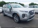Hyundai PALISADE Sel Image 1